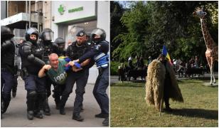 Protestul oierilor, 