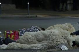 Protestul fermierilor continuă şi azi. Oierii, chemaţi la Cotroceni pentru negocieri