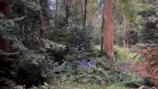 Sucevenii şi-au riscat viaţa pentru a face poze cu drona căzută la ei. 