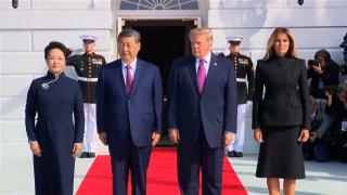 Trump, primire fără precedent pentru Xi Jinping în SUA. Preşedintele chinez i-a făcut cadou doi urşi panda