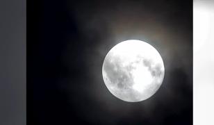 Luna Recoltei, spectacol pe cerul nopţii. A părut uriaşă şi mult mai aproape de Pământ