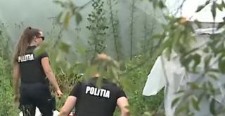 Farsa unui copil de 14 ani a mobilizat polițiștii din Caraș-Severin. Mama, amendată cu 1.000 de lei