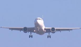 AnimaWings a cerut intrarea în insolvenţă, la o zi după ce a anunţat retragerea unor avioane din operare