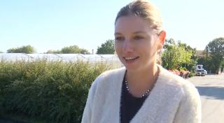Florile care rezistă până la minus 2 grade şi rămân înflorite săptămâni întregi. Cât costă în pieţe
