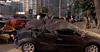 Ce spune Primăria despre copacul căzut peste 4 mașini în Capitală. Proprietarii vor fi despăgubiți