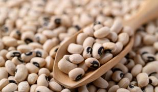 Alimente care conțin molibden. Rolul acestui micromineral în organism