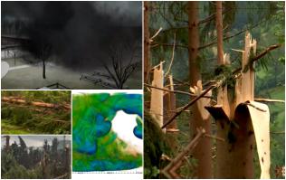 ANIMAŢIE. Scene apocaliptice într-o pădure din România, după ce a fost lovită de fenomenul "Downburst"