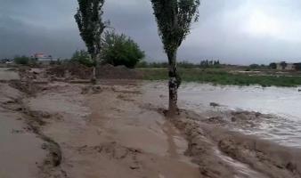 Zeci de morți și răniți în Afganistan, după ce ploi torențiale au devastat nordul țării. În Brazilia, bilanțul deceselor în urma inundațiilor a ajuns la 126