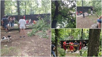 O femeie a fost lovită grav de creanga unui copac, într-un parc din Craiova. În ce stare se află