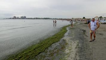 Staţiunile în care Marea Neagră s-a făcut verde. Turiştii evită să facă baie, dar experţii spun că este semn bun