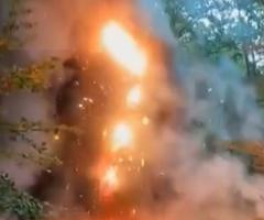Un incendiu violent a băgat spaima în turiştii aflaţi într-un parc de distacţii din Râşnov. Un dinozaur de 10 metri a ars ca o torţă