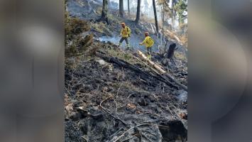 Incendiu violent într-o pădure din Timiş. Vegetaţia a ars mai bine de 4 zile, pompierii au folosit un elicopter pentru a stinge flăcările