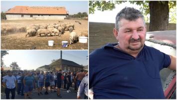 "Mi-aţi distrus viaţa". Ciobanii au plâns în faţa Guvernului, după ce le-au fost sacrificate 230.000 de oi