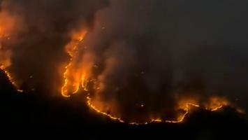 Incendiile de vegetaţie fac prăpăd în România: pompierii au stins peste 16.000 de focare în 6 luni. O femeie de 61 de ani, printre piromani