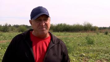 Fructul vedetă al verii care este la mare căutare şi toamna. Preţul e redus, iar clienţii îl adoră: "Foarte bună"