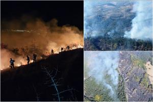 Un incendiu de vegetaţie a mistuit 70 de hectare de pădure în Alba. Pompierii au luptat 20 de ore pentru stingerea flăcărilor