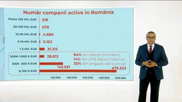 Câte business-uri din România au cifra de afaceri de peste 100 de milioane de euro