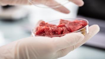 Oraşul din România unde se va produce carne hibrid. Primul laborator se deschide la începutul anului viitor