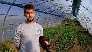 Dacian a primit moştenire un teren agricol de la bunicul său şi a făcut avere la 22 de ani. Cu ce legumă a dat lovitura 