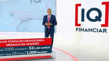 Câte companii din România au venituri sub 1 milion de euro