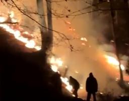 Incendiu violent într-o pădure din Maramureş. Pompierii s-au luptat ore bune cu flăcările care au cuprins 10 hectare de vegetaţie