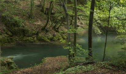 Accident mortal într-o pădure din Cluj. Un bărbat de 60 de ani și-a pierdut viața
