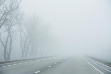 Mai multe judeţe, cod galben de vreme rea: ninsori, ceaţă, risc de polei. Cum se circulă pe drumurile din ţară