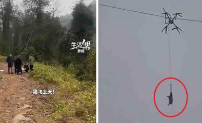 Sat întreg, lăsat fără curent de un "porc zburător". Incident bizar provocat de un fermier