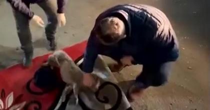 Lecţia de omenie. După ce au evacuat 70 de oameni dintr-un bloc din Vaslui, pompierii au resuscitat un câine