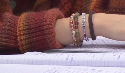 Noua programă la Limba şi Literatura Română pentru liceu stârnește nemulțumiri. Ce spun elevii și profesorii