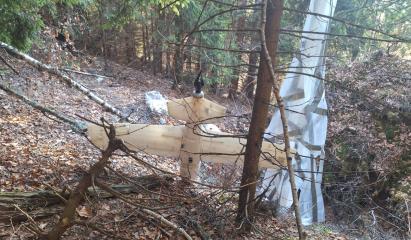 Dronă misterioasă, descoperită lângă o bază MApN din Argeș. Surse MApN: Nu a apărut pe niciun radar