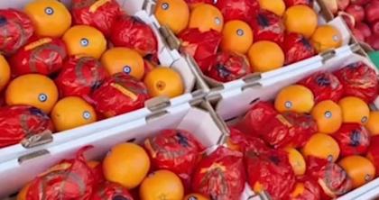 Tone de portocale cu pesticide, la vânzare. Poliţiştii au sigilat depozitele şi i-au ridicat pe importatori