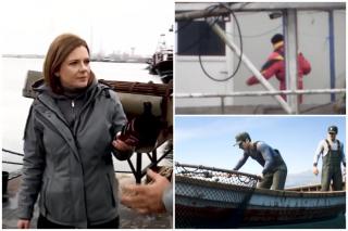 Caracatița afacerilor cu pește. DNA confirmă ancheta Observator: doi inspectori ANPA, trimiși &icirc;n judecată