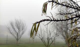 Cea mai rece dimineață de la &icirc;nceputul toamnei. Temperaturile au cobor&acirc;t p&acirc;nă la -6 grade