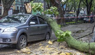 Vremea, la extreme. Furtunile au rupt copaci, &icirc;n Vaslui un om a murit din cauza caniculei