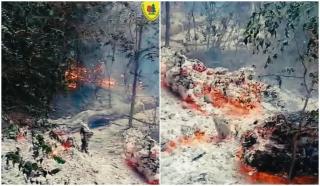 Incendiu &icirc;n pădurea din Plauru. Localnicii spun că a pornit după prăbușirea unei drone, MApN verifică