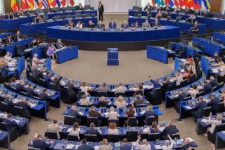 Comisia specială a PE, despre manipularea pe TikTok a alegerilor din Rom&acirc;nia &icirc;naintea votului de marţi
