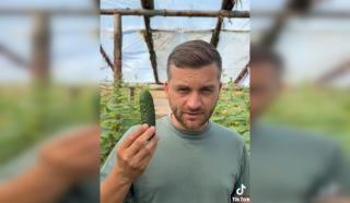 Comuna unde se dau castraveţi gratis, cu o condiţie: "Puteți să faceți afaceri cu ei, nu mă interesează"