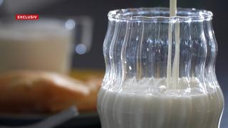 9 sortimente de chefir, testate din nou de Observator, după 2 luni. Rezultate surprinzătoare