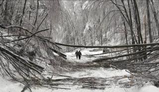 Viscol și ger extrem &icirc;n vestul Rom&acirc;niei: Localități izolate, pene de curent și temperaturi de -19 &deg;C