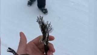 &Icirc;n ce stare sunt cei doi copii răniţi de cablul de teleschi rupt din Semenic: Sper că nu e nevoie de operaţie