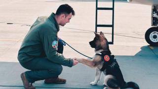 "S-a rupt şi o parte din inima mea". Reacţii după moartea pilotului de F-16, &icirc;necat după ce a salvat un căţel