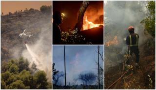 Mărturia unui rom&acirc;n din infernul care a cuprins vestul Europei: "Nu mai sunt elicoptere. Arde, arde, arde"