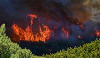 Incendiu uriaș l&acirc;ngă Atena. 5.000 de hectare, mistuite de flăcări la Porto Germeno: "Nu se putea face nimic"