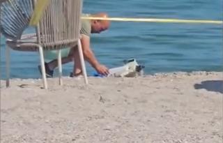 Resturi de dronă, găsite &icirc;n apa mării la Mamaia. Mărturiile turiştilor de pe plajă