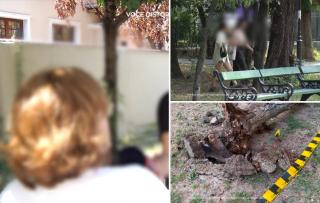 Antonia poate răm&acirc;ne paralizată după o ieşire &icirc;n parc. Mărturia mamei: Vertebra a smuls cu ea măduva spinării