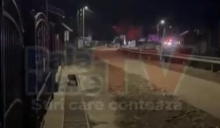 A confundat-o cu un animal sălbatic şi a &icirc;mpuşcat-o mortal &icirc;n g&acirc;t. Tragedie &icirc;ntr-un sat din Maramureş