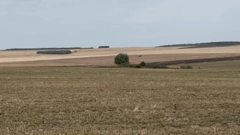 Dronă prăbuşită pe un c&acirc;mp din comuna vasluiană Viişoara. Dispozitivul a fost detonat controlat
