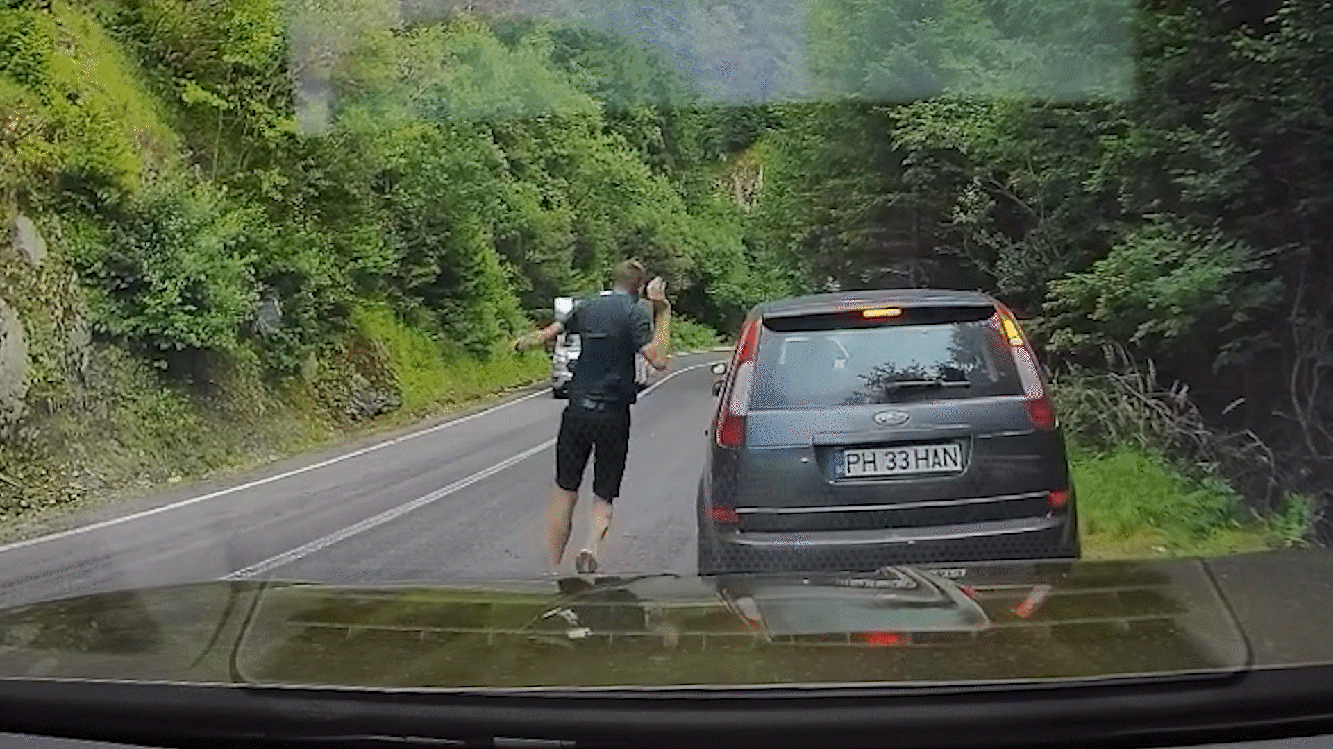 "Chiar și ursul e confuz". Cu ochii &icirc;n telefon, un turist a fost la un pas să fie mușcat pe Transfăgărășan