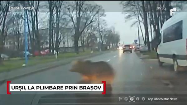 Observator ora 6 din 03.12.2025